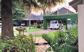 Diamond Rose Guest House